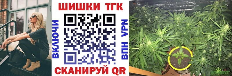Канабис индика  Курчалой 